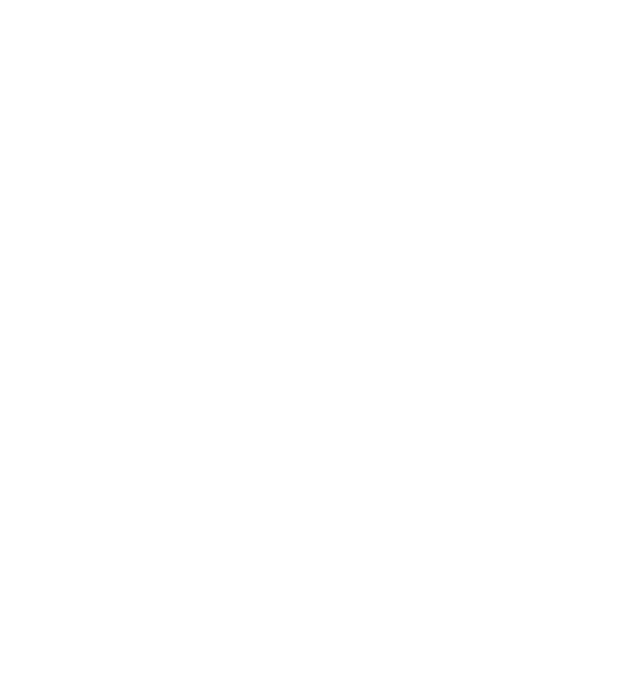 Grupo Lemus Realty